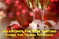Click to view classifieds QDNZJWNX