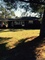 Click to view classifieds FASYMXMT