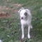 Click to view classifieds UQGAEQND