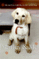 Click to view classifieds ZZUFBLVB