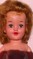 Click to view classifieds SDVTWJZR