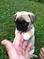 Click to view classifieds GNQGZJHM