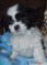 Click to view classifieds EPCPDDHM