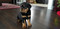 Click to view classifieds XSNZMRNB