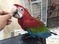 Click to view classifieds BZGVUCRP