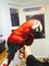 Click to view classifieds EDPPZOMR