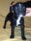 Click to view classifieds JPPCPALV