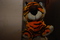 Click to view classifieds FYVYTXTW