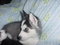 Click to view classifieds AKVFSSLQ