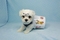 Click to view classifieds CUQHGLXJ
