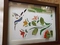Click to view classifieds SBXWBOKJ