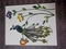 Click to view classifieds RTRTJFHL