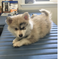 Click to view classifieds AKAJUJXF