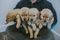Click to view classifieds ADAUKKMZ