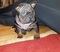 Click to view classifieds ARLMXKTS