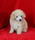 Click to view classifieds WWQWNRFT