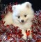 Click to view classifieds WQKNBYZU