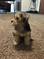 Click to view classifieds CNGUVYDS