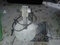 Click to view classifieds ONZDPTBC