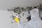 Click to view classifieds NFYRQQHJ