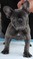 Click to view classifieds SPDQDFWT