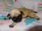 Click to view classifieds GDOCJGFZ