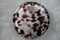 Click to view classifieds XZRGPVFB
