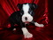 Click to view classifieds DYNSKQVG