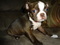 Click to view classifieds WDTKRXKA