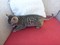 Click to view classifieds FSYYDARS