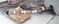 Click to view classifieds JXXOMDLZ