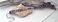 Click to view classifieds PMNWJMRQ