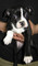 Click to view classifieds WZGPNQTS