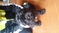 Click to view classifieds DWCTQMMW
