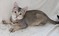 Click to view classifieds GESYJKDK