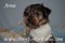 Click to view classifieds ETHXZPQK
