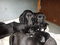 Click to view classifieds SJTEAPEP