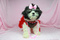 Click to view classifieds APWSOFHC