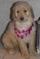 Click to view classifieds CTUSYAYW
