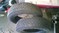 Click to view classifieds JEHRDAZX