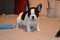 Click to view classifieds SXTSLDGX