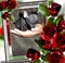 Click to view classifieds QEQBFSXQ