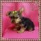 Click to view classifieds HDJOAWBM
