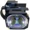 Click to view classifieds AVNYLLXV
