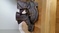 Click to view classifieds TUFKKPHS