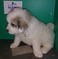 Click to view classifieds VOPQWNYE