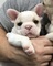 Click to view classifieds VDMDAQMH