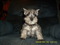 Click to view classifieds DHMNSMMB