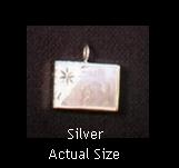 Silver Casing