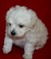 Click to view classifieds CQKQNVDE